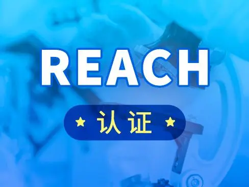 REACH是什么意思？